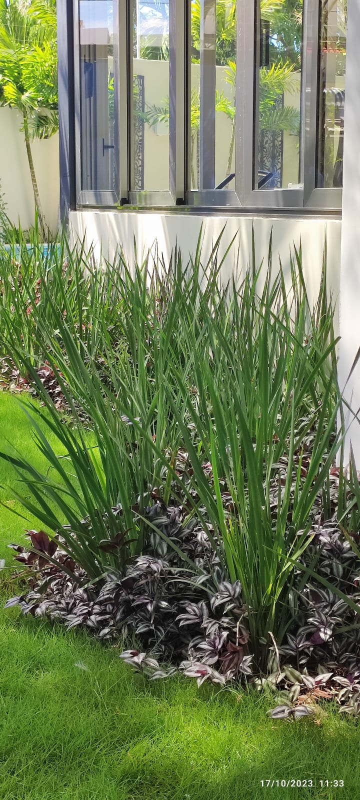 WhatsApp Image 2025-11-26 at 9.45.42 AM